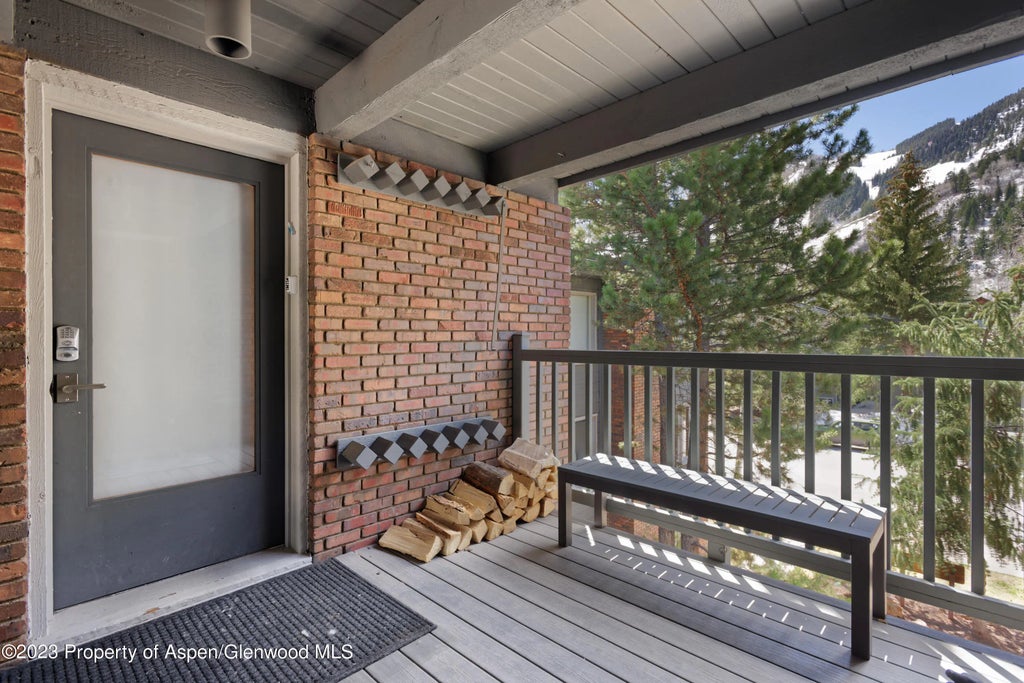15 of 17 - 124 W Hyman Avenue 3d, Aspen, CO