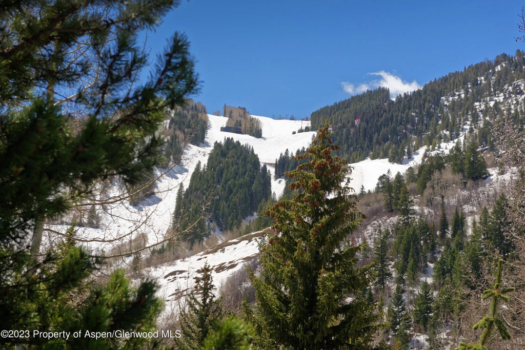 16 of 17 - 124 W Hyman Avenue 3d, Aspen, CO