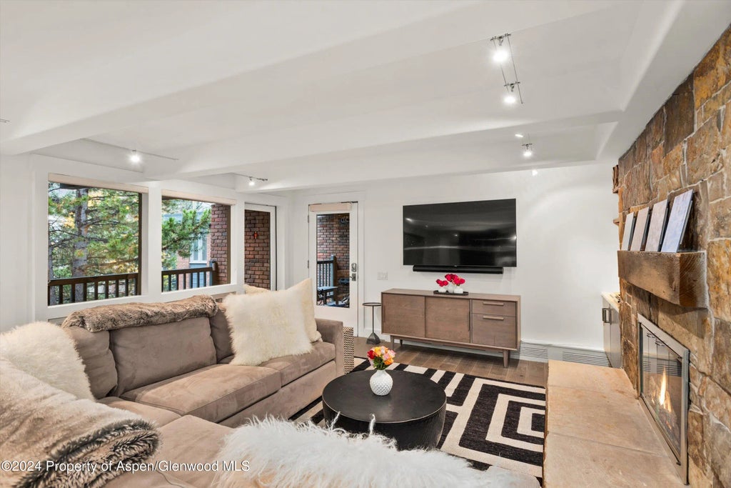 2 of 17 - 124 W Hyman Avenue 3d, Aspen, CO