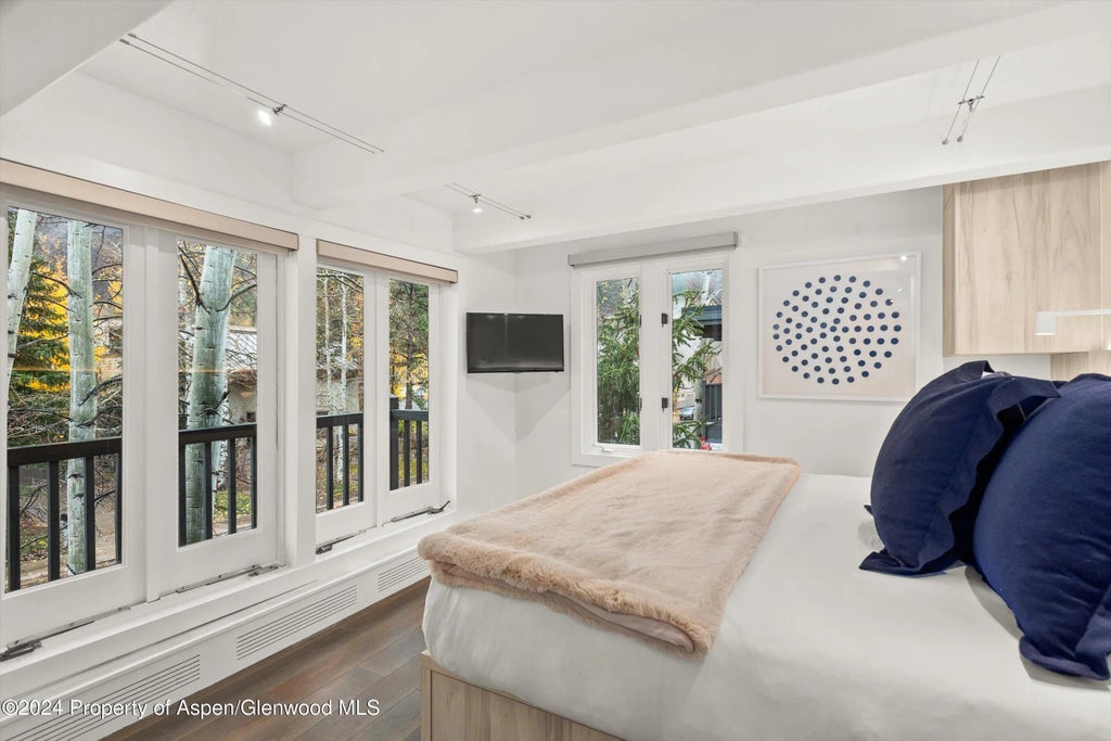 8 of 17 - 124 W Hyman Avenue 3d, Aspen, CO