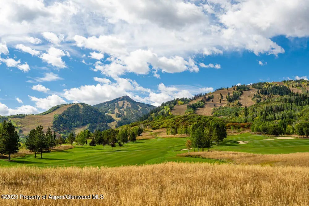 16 of 17 - 39060 Colorado Highway 82 7, Aspen, CO