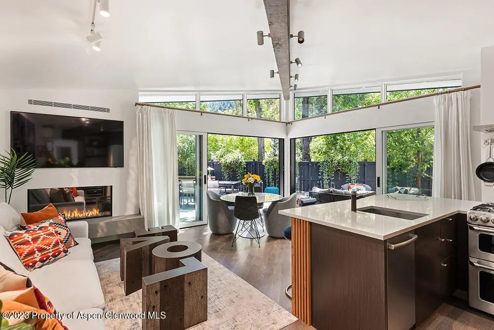 7 of 19 - 630 W Hallam Street #1, Aspen, CO