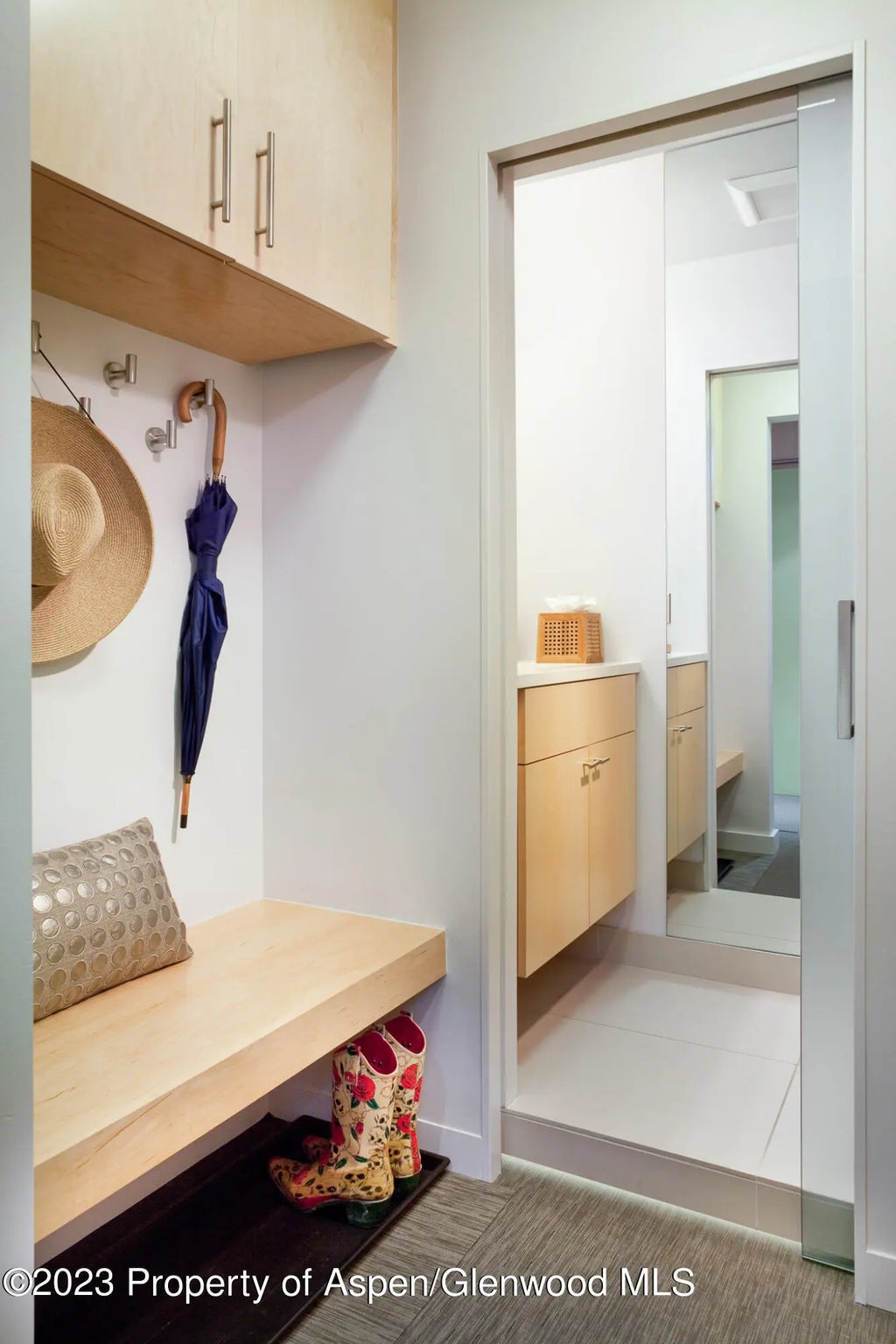 11 of 21 - 205 E Durant Avenue 3h, Aspen, CO