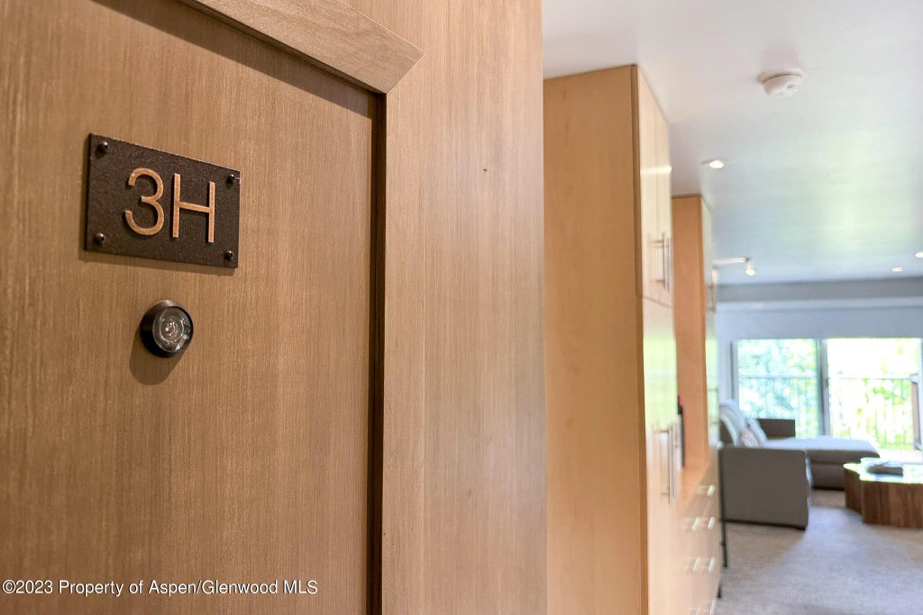 13 of 21 - 205 E Durant Avenue 3h, Aspen, CO