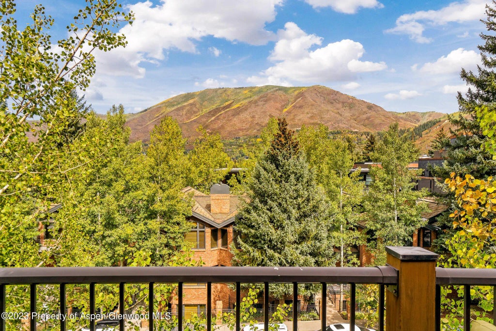 15 of 21 - 205 E Durant Avenue 3h, Aspen, CO