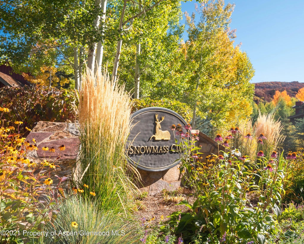 16 of 45 - 0239 Snowmass Club Circle 111, Snowmass Village, CO