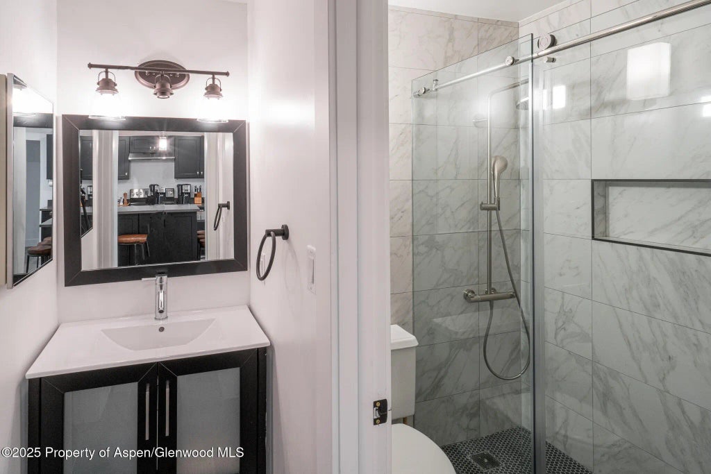 10 of 17 - 1316 Vine Street, Aspen, CO