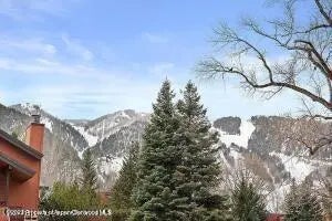 17 of 17 - 1316 Vine Street, Aspen, CO