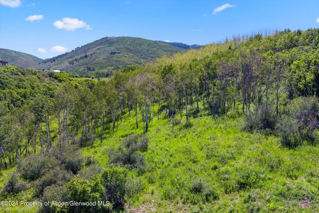3 of 48 - Tbd Trentaz Drive, Aspen, CO