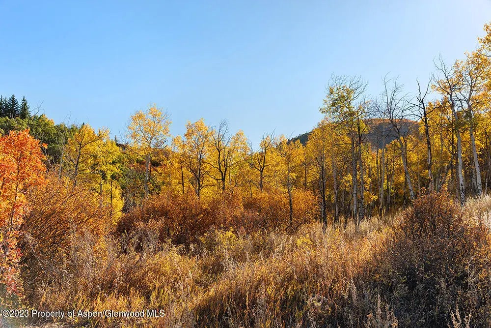 48 of 48 - Tbd Trentaz Drive, Aspen, CO