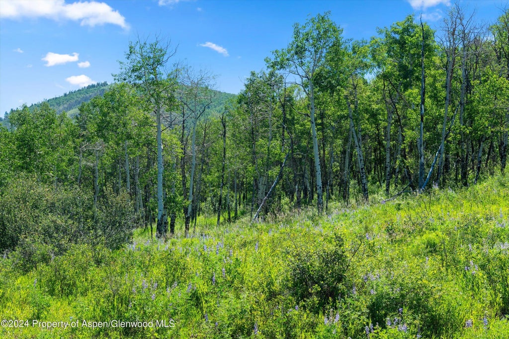 7 of 48 - Tbd Trentaz Drive, Aspen, CO