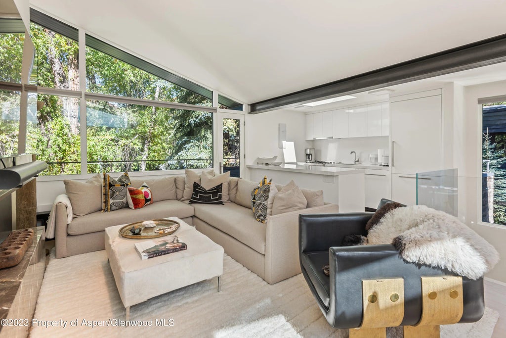 3 of 23 - 1001 E Cooper Avenue 1, Aspen, CO