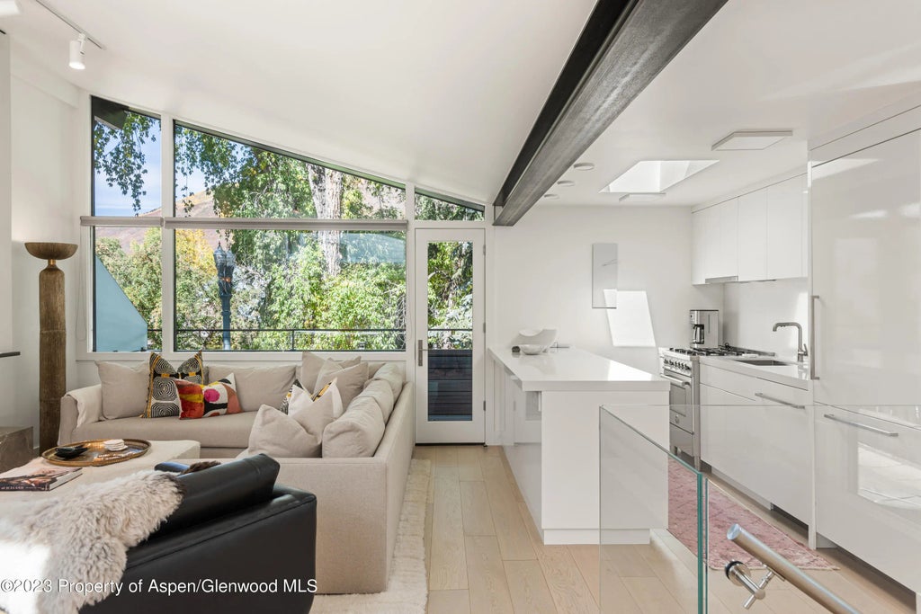 4 of 23 - 1001 E Cooper Avenue 1, Aspen, CO