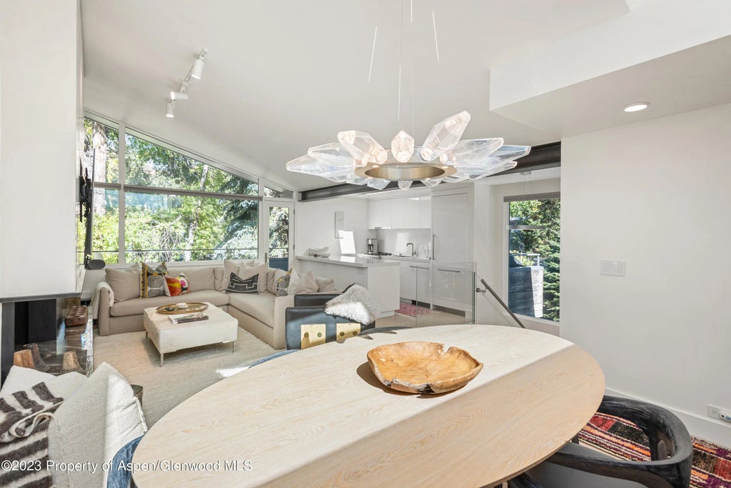 8 of 23 - 1001 E Cooper Avenue 1, Aspen, CO