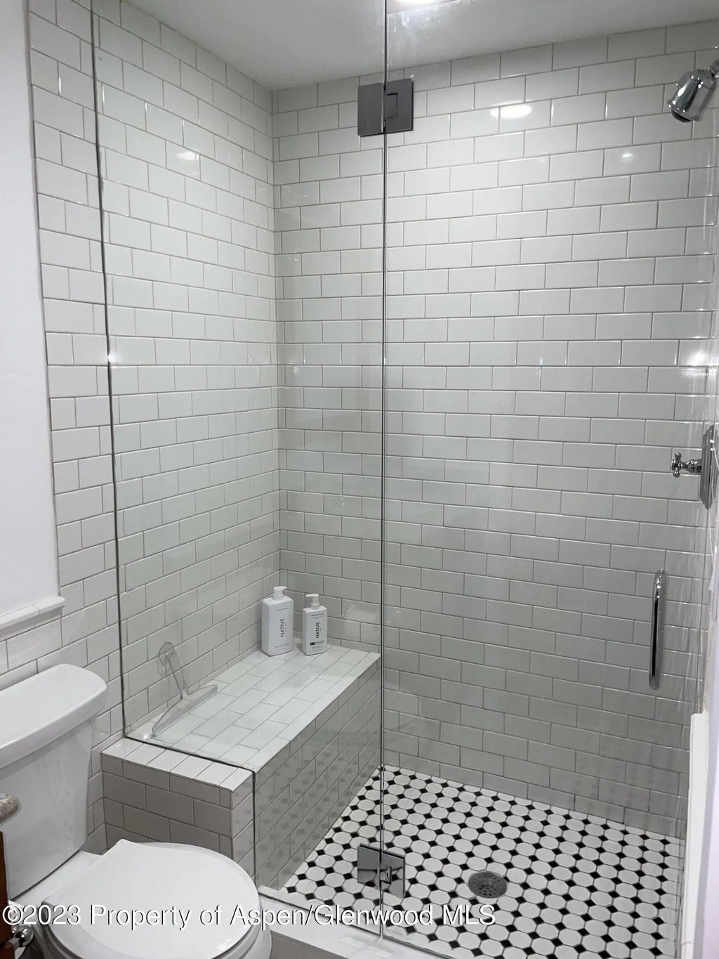 12 of 18 - 519 W Main Street D-101, Aspen, CO