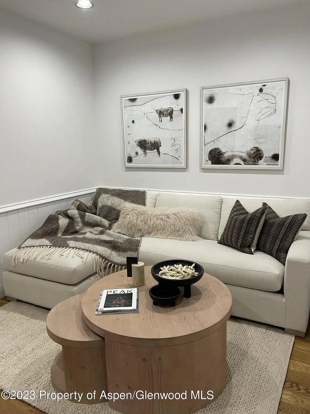 8 of 18 - 519 W Main Street D-101, Aspen, CO