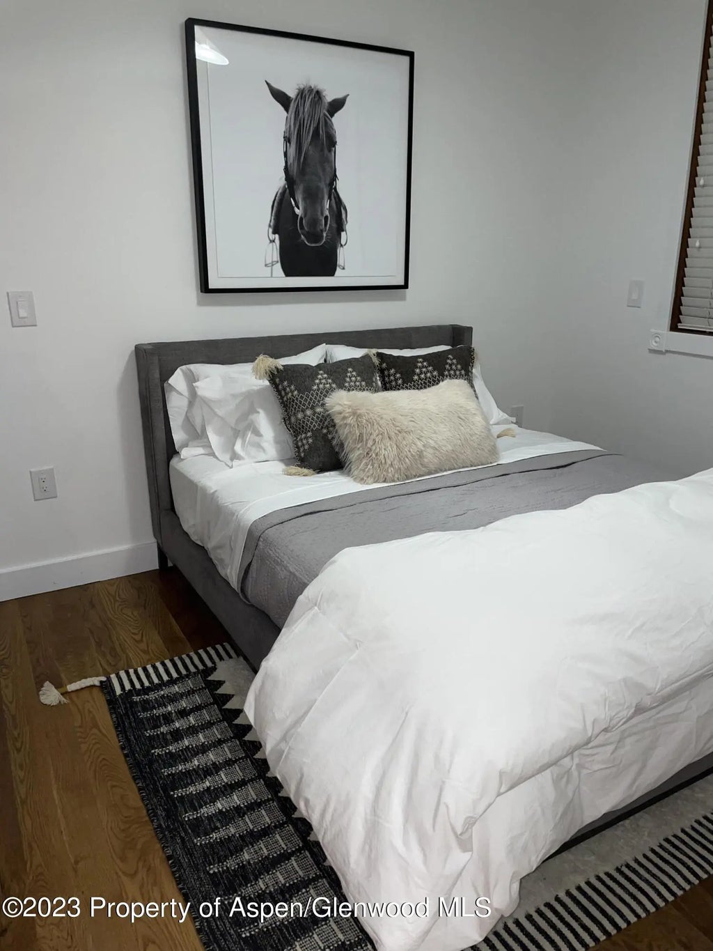 9 of 18 - 519 W Main Street D-101, Aspen, CO