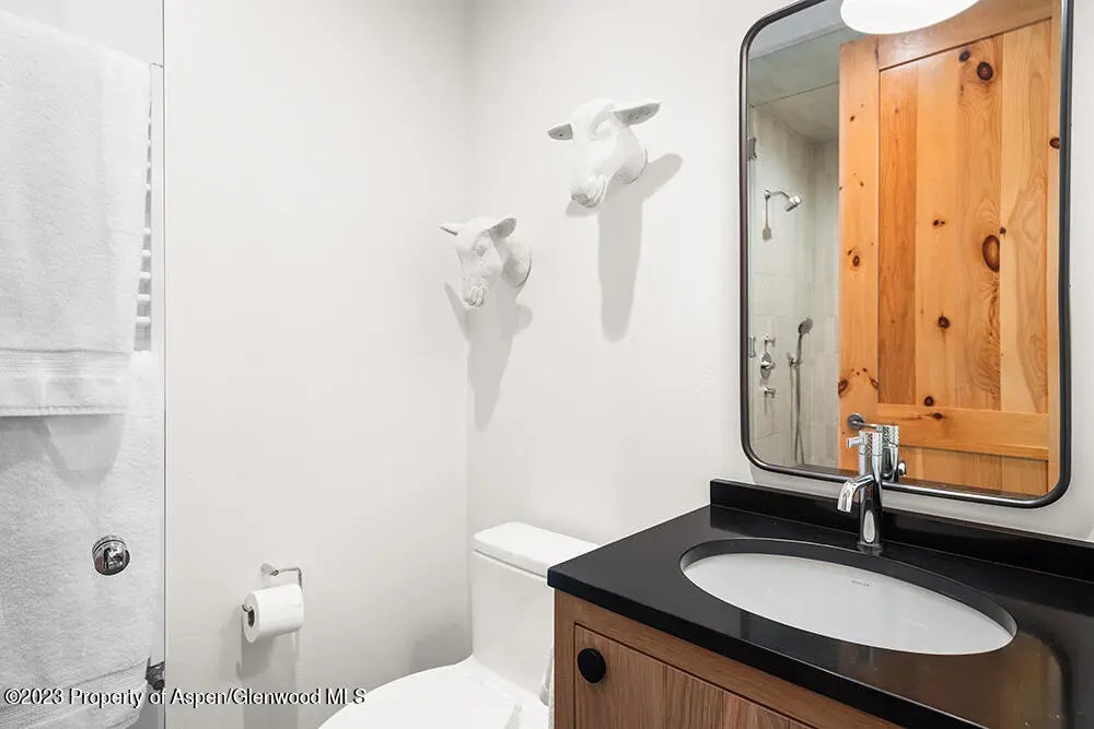 26 of 39 - 38 Fox Lane, Snowmass Village, CO