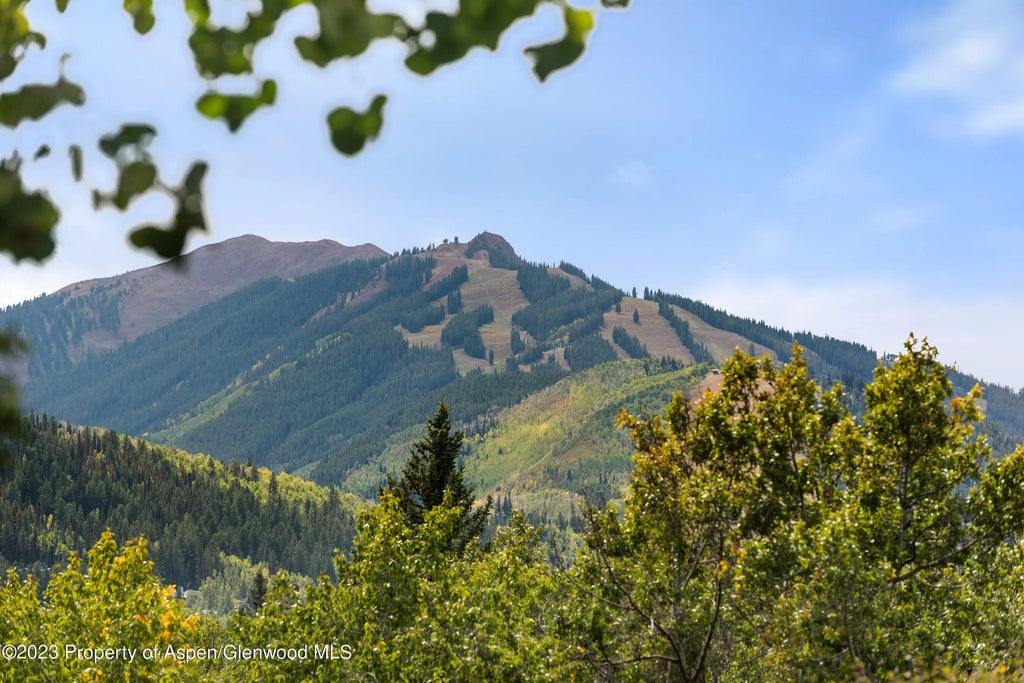 17 of 26 - 81 Meadows Trustee Road, Aspen, CO