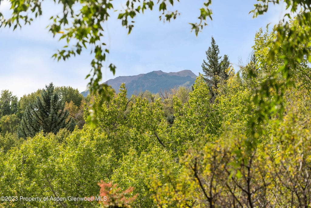18 of 26 - 81 Meadows Trustee Road, Aspen, CO