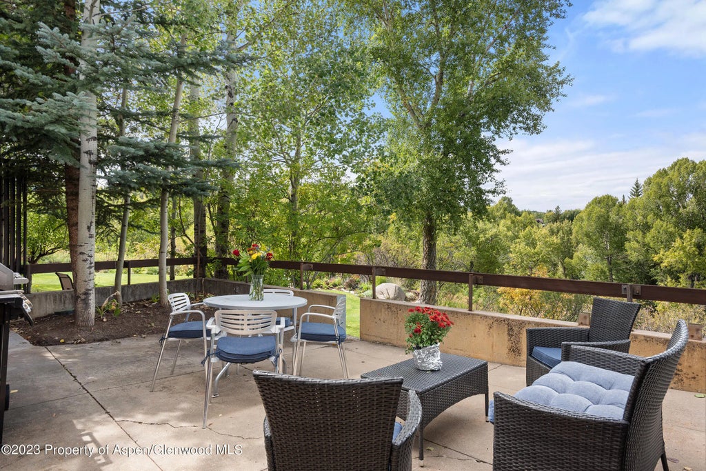 9 of 26 - 81 Meadows Trustee Road, Aspen, CO