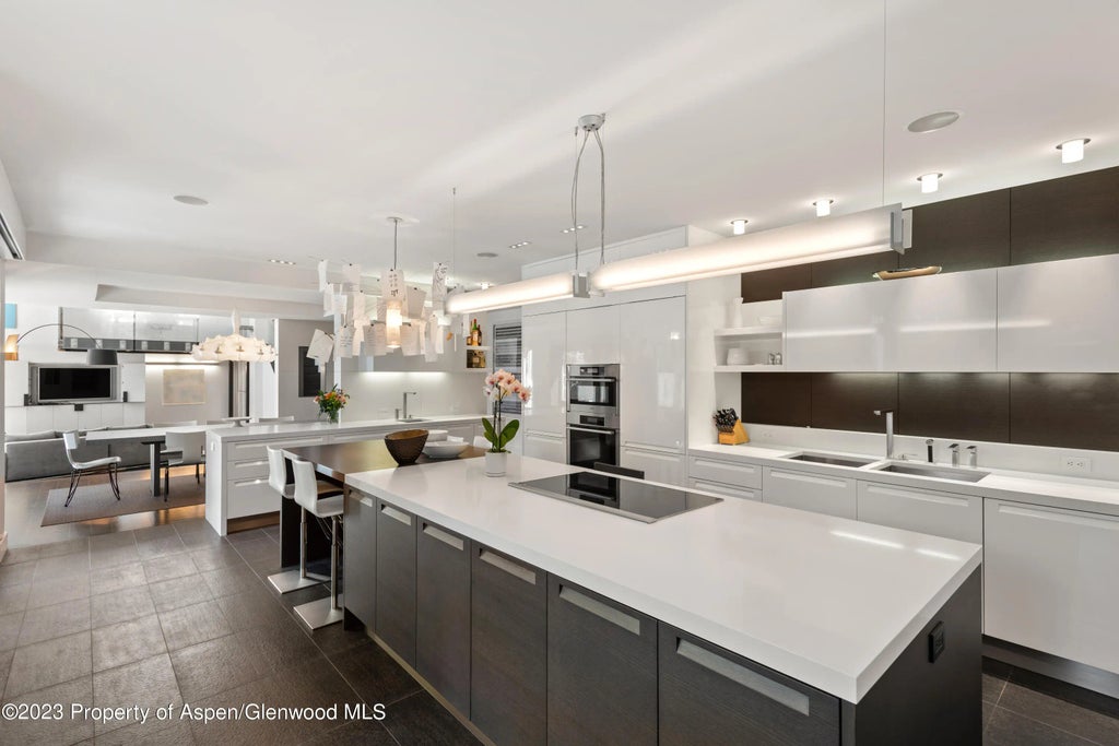 15 of 42 - 517 W North Street, Aspen, CO