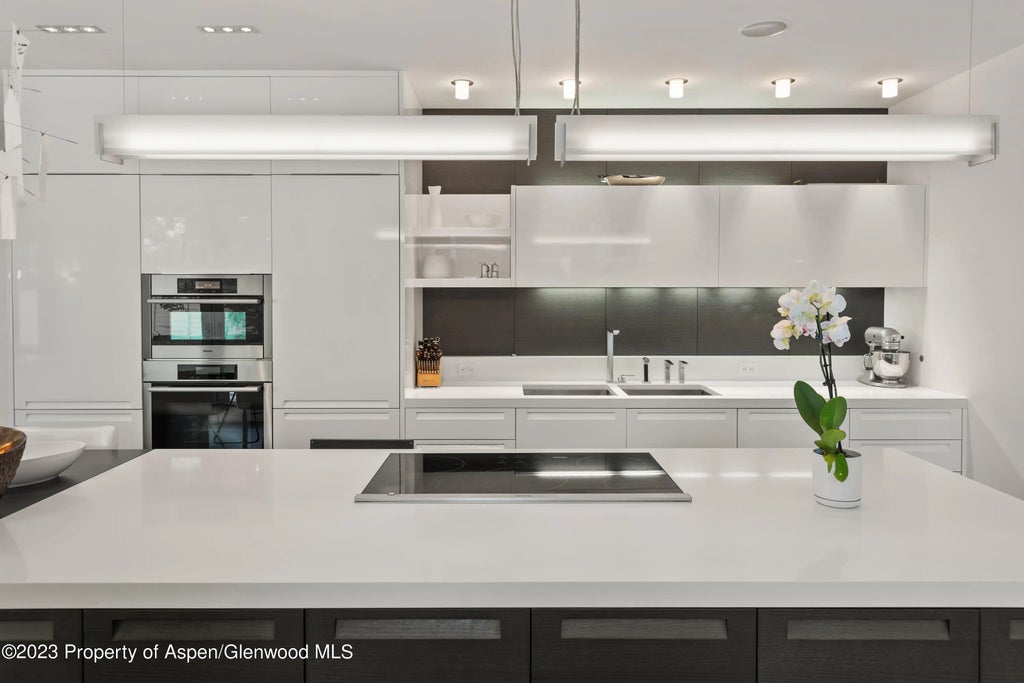 17 of 42 - 517 W North Street, Aspen, CO