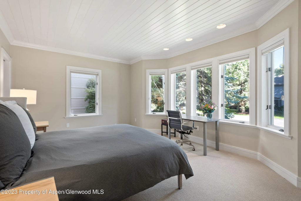 27 of 42 - 517 W North Street, Aspen, CO