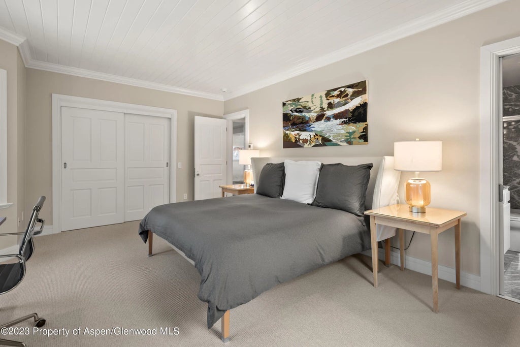 28 of 42 - 517 W North Street, Aspen, CO