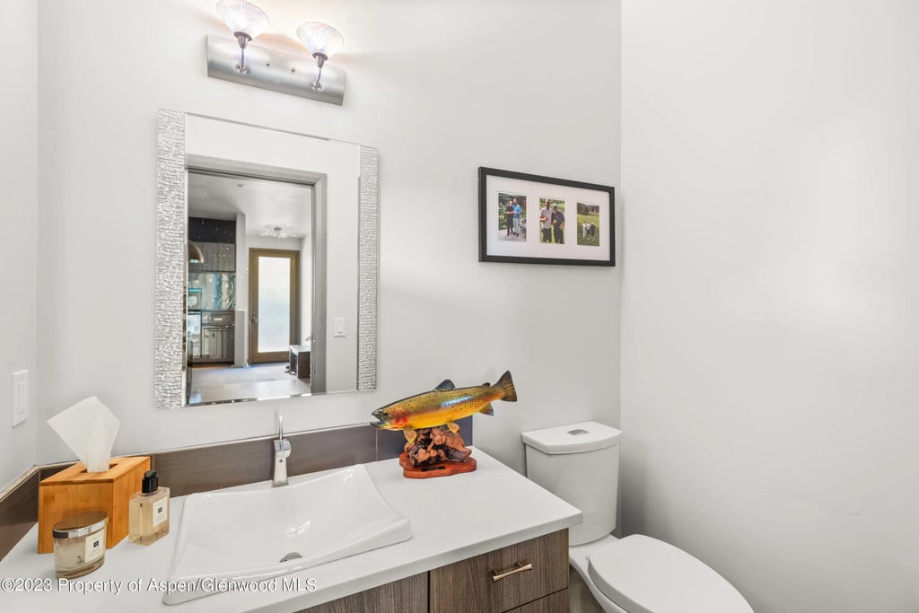 9 of 28 - 331 Branding Way, Basalt, CO