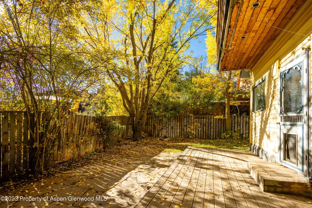 11 of 11 - 212 N Monarch Street, Aspen, CO