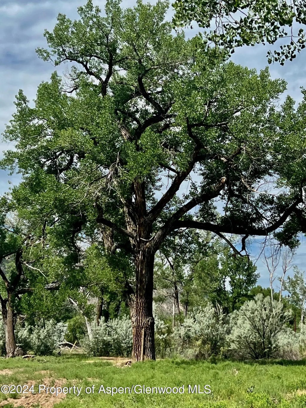 17 of 41 - 1797 N County Road 346, Rifle, CO