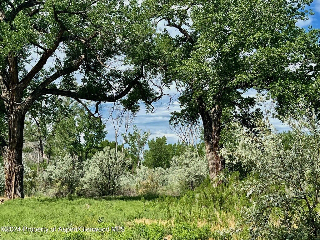 18 of 41 - 1797 N County Road 346, Rifle, CO