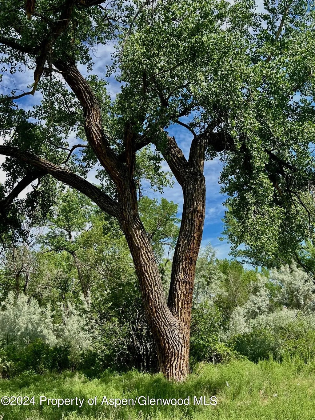 20 of 41 - 1797 N County Road 346, Rifle, CO
