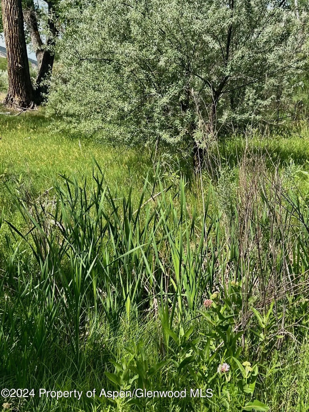 24 of 41 - 1797 N County Road 346, Rifle, CO