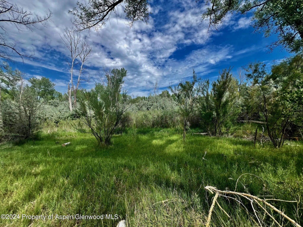 25 of 41 - 1797 N County Road 346, Rifle, CO