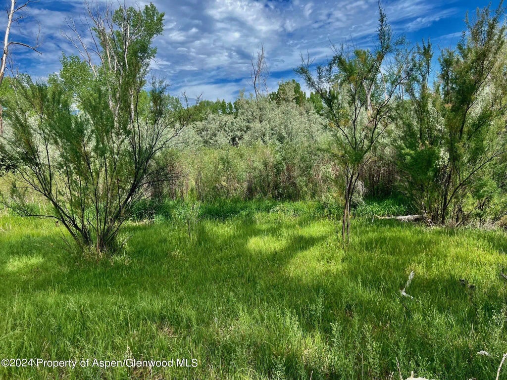 26 of 41 - 1797 N County Road 346, Rifle, CO