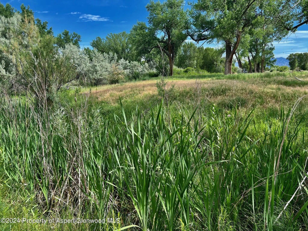 29 of 41 - 1797 N County Road 346, Rifle, CO