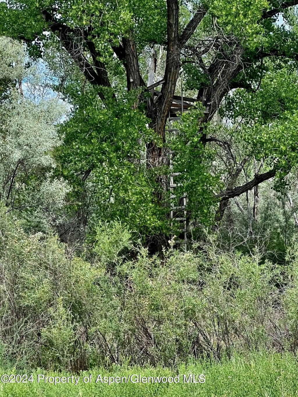 31 of 41 - 1797 N County Road 346, Rifle, CO