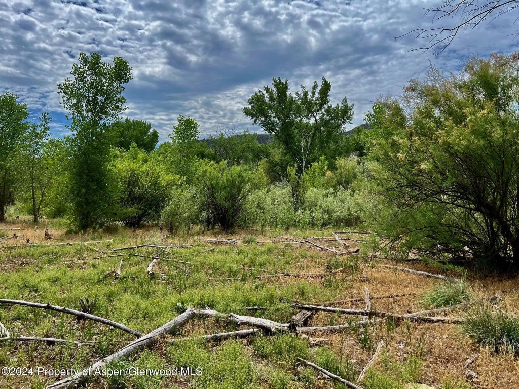 35 of 41 - 1797 N County Road 346, Rifle, CO