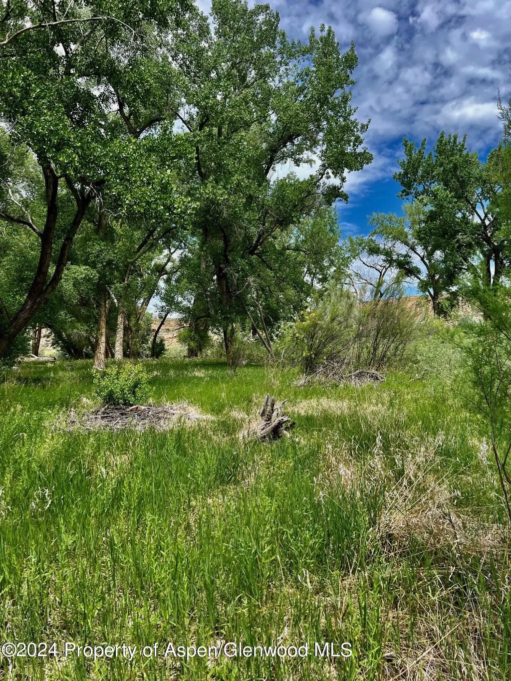 36 of 41 - 1797 N County Road 346, Rifle, CO