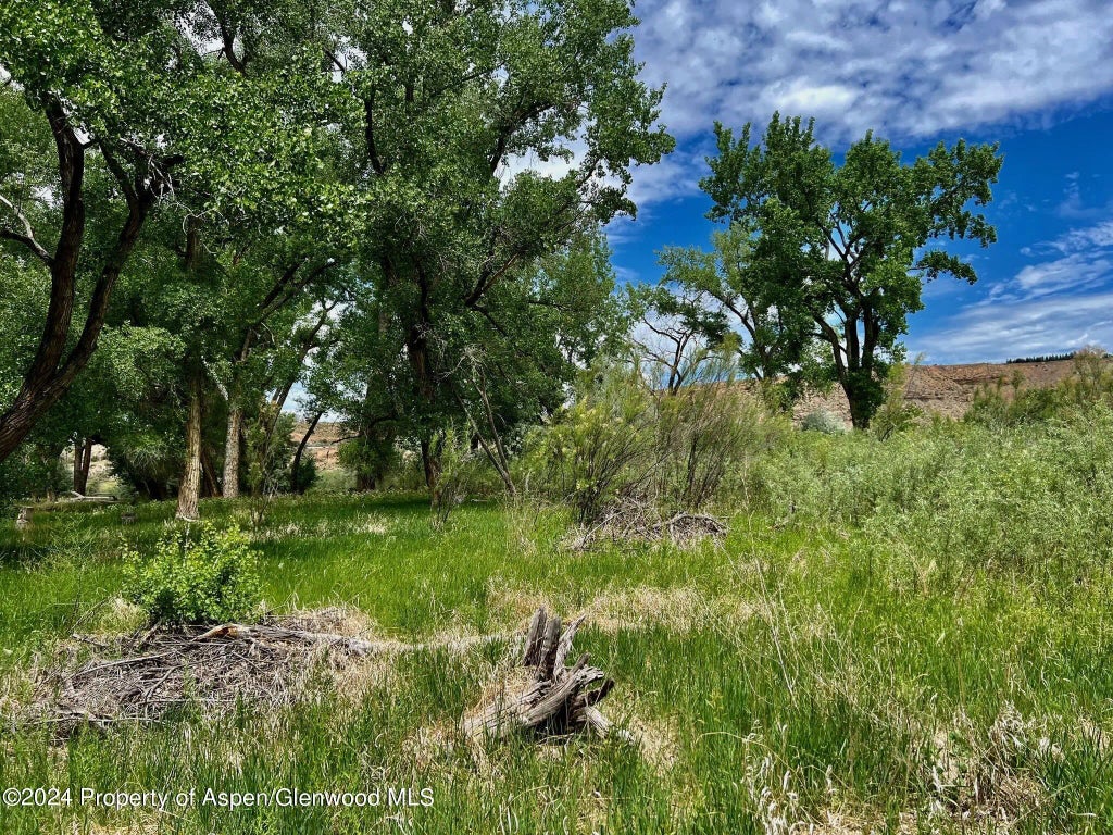 37 of 41 - 1797 N County Road 346, Rifle, CO