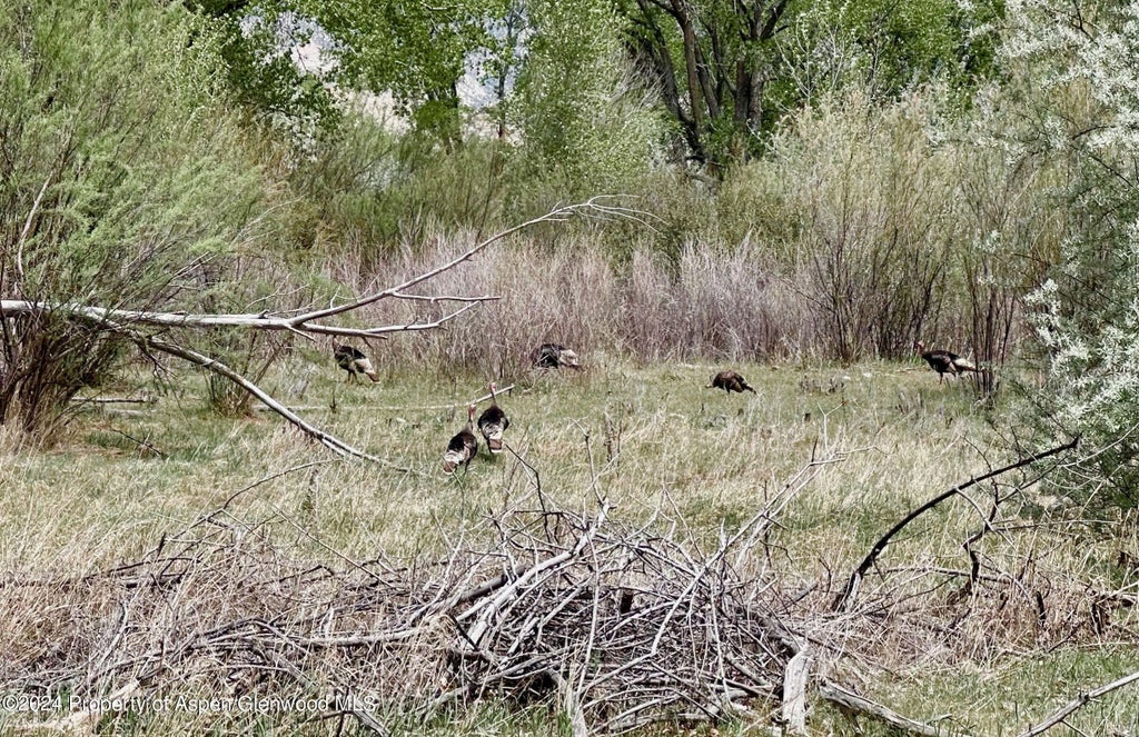 8 of 41 - 1797 N County Road 346, Rifle, CO