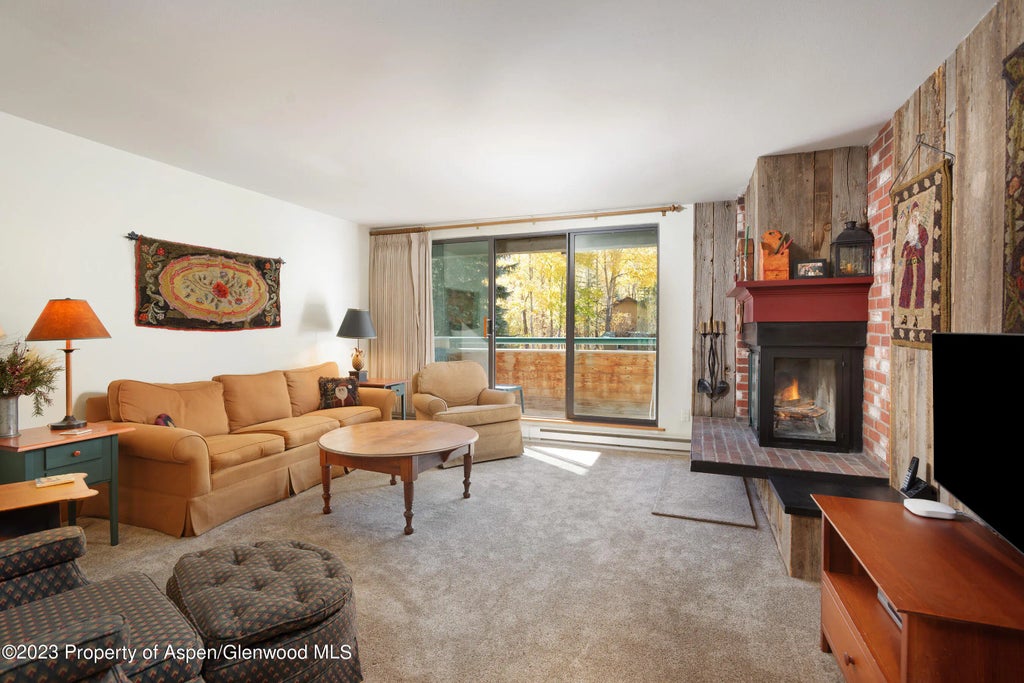 1 of 12 - 1024 E Hopkins Avenue 12, Aspen, CO
