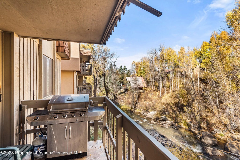 10 of 12 - 1024 E Hopkins Avenue 12, Aspen, CO