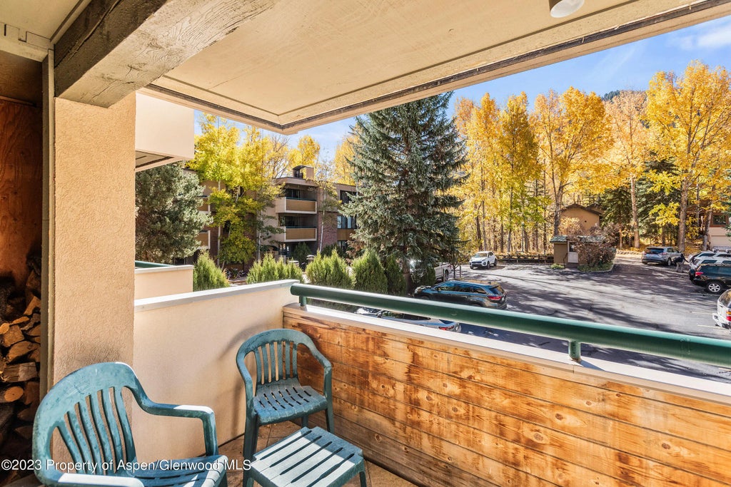 11 of 12 - 1024 E Hopkins Avenue 12, Aspen, CO