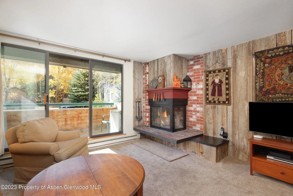 2 of 12 - 1024 E Hopkins Avenue 12, Aspen, CO