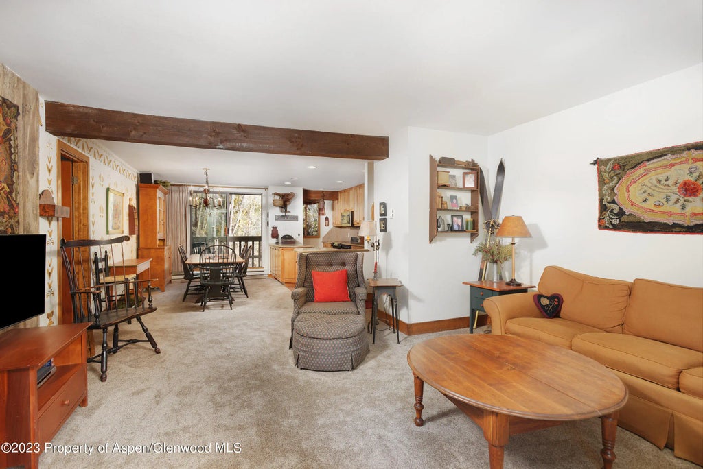 3 of 12 - 1024 E Hopkins Avenue 12, Aspen, CO