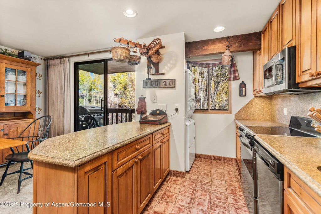 5 of 12 - 1024 E Hopkins Avenue 12, Aspen, CO