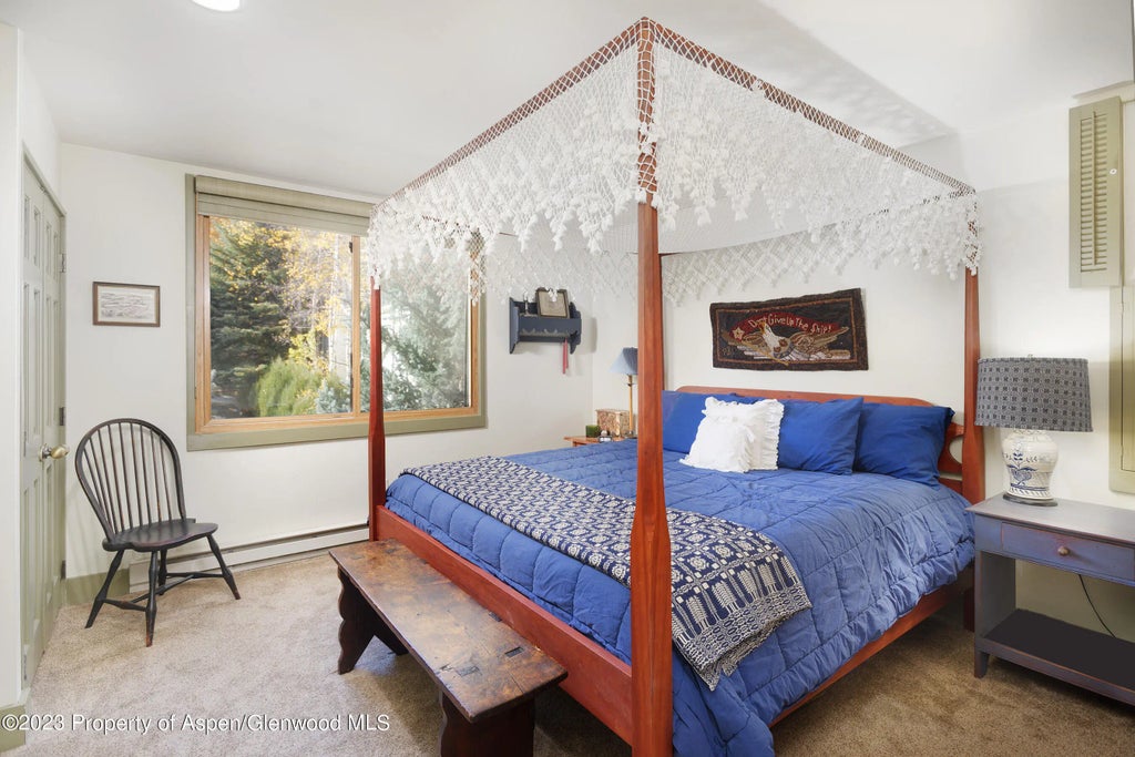 6 of 12 - 1024 E Hopkins Avenue 12, Aspen, CO